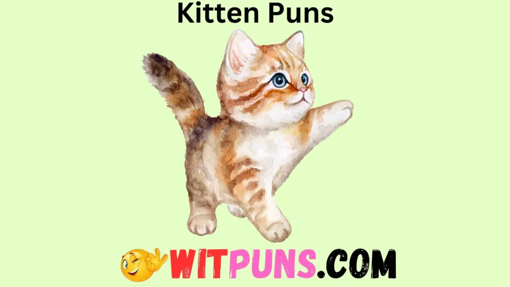 Cat itude Filled Kitten Puns