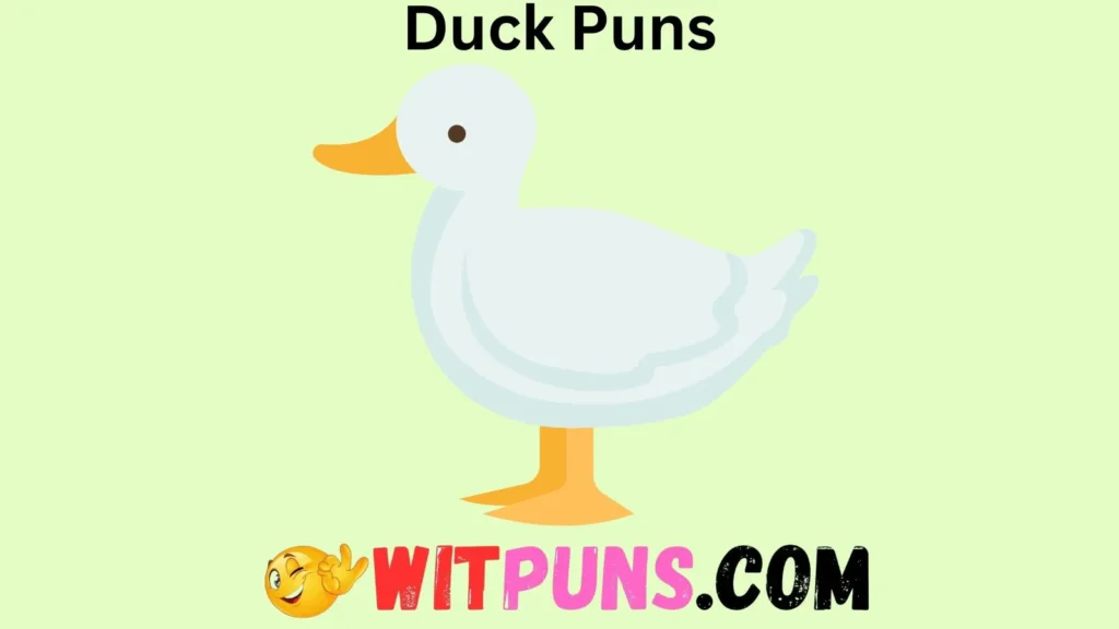 Clever Duck Puns