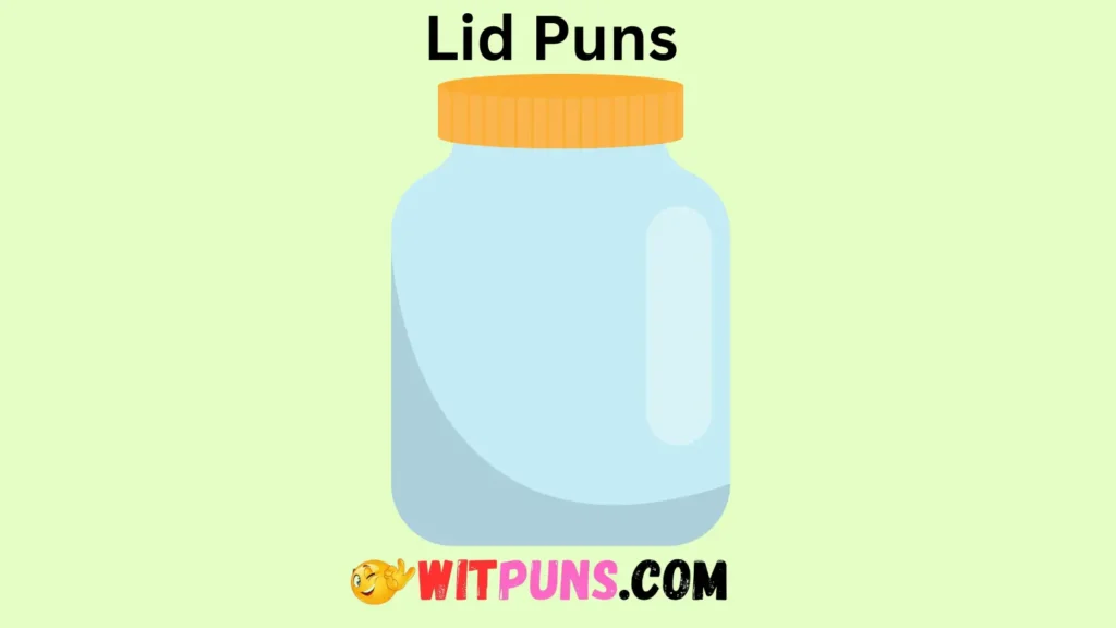Funniest Lid Puns 