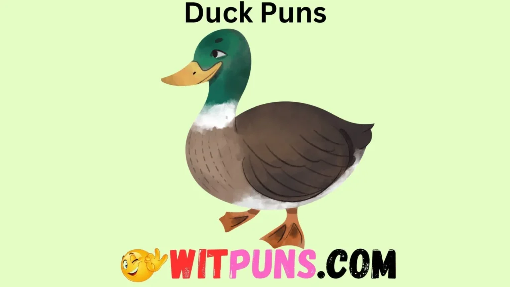 Funny Duck Puns