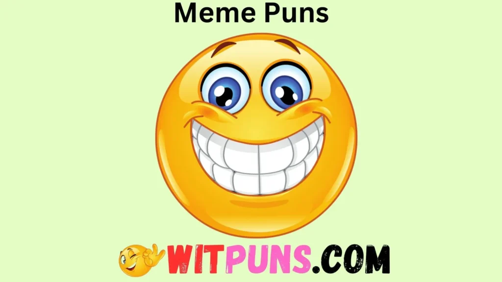 Funny Meme Puns for Kids
