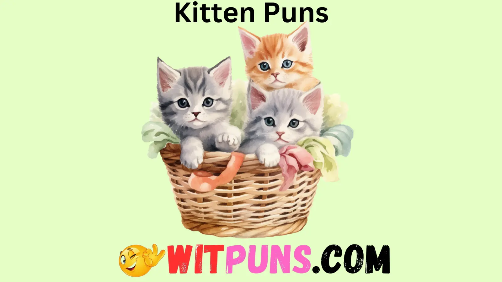 Kitten Puns