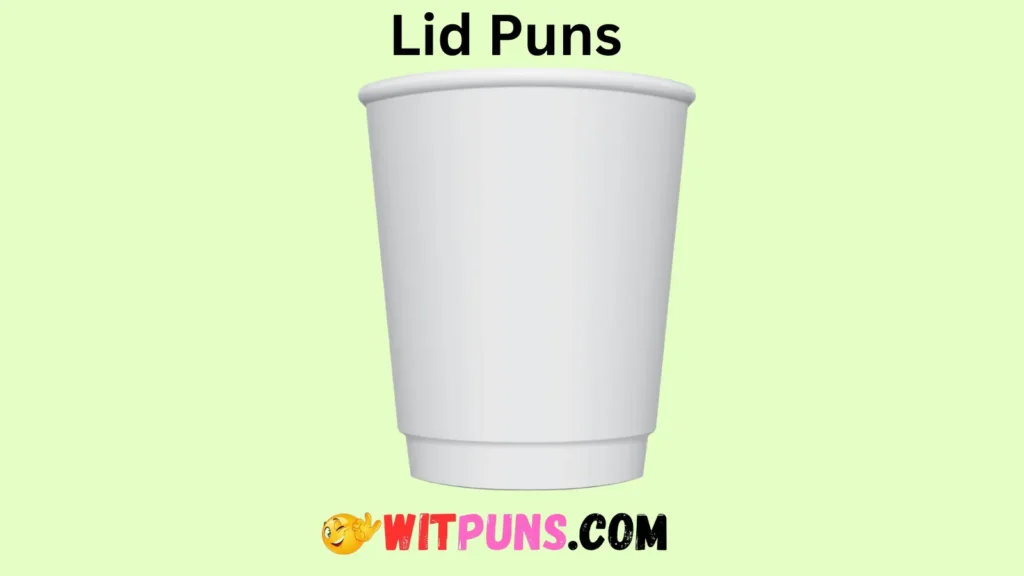 Lid Puns for Everyday Use