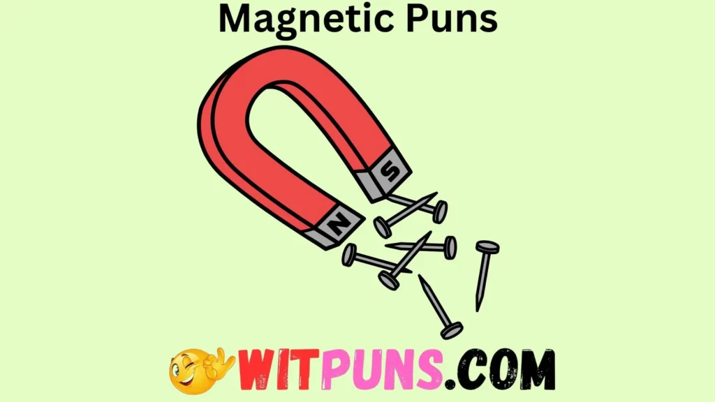 Magnetic Humor for All Ages