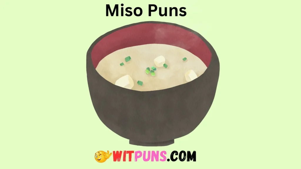 Miso Puns for Beginners