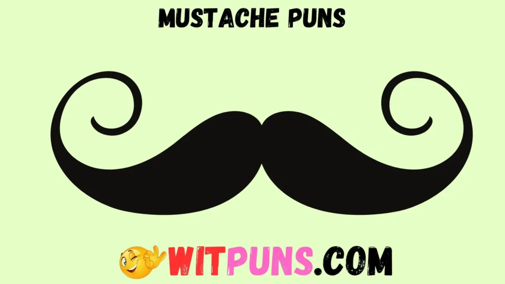 Mustache Puns for Mustache Lovers