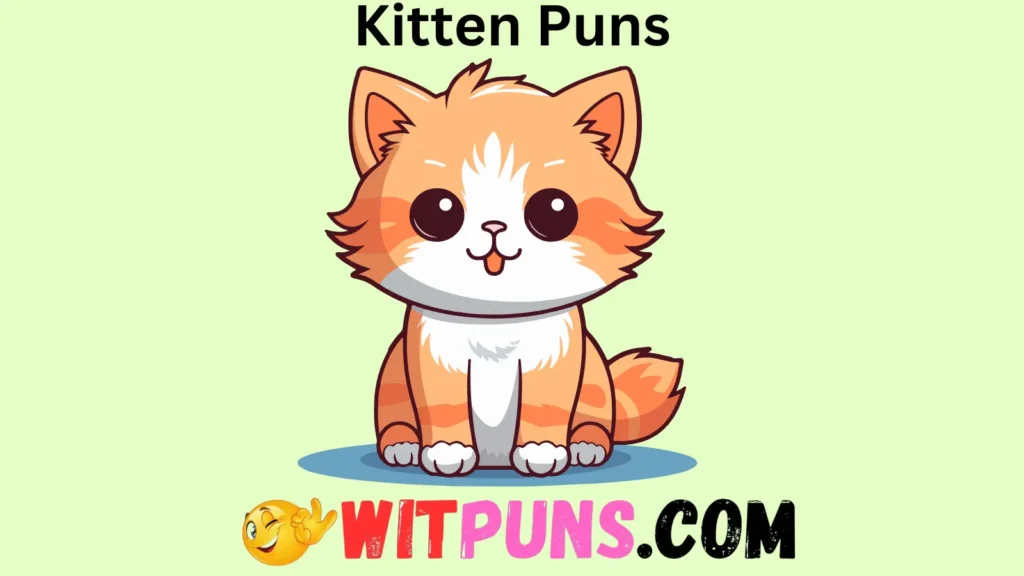 Playful Kitten Puns for the Fun Lovers