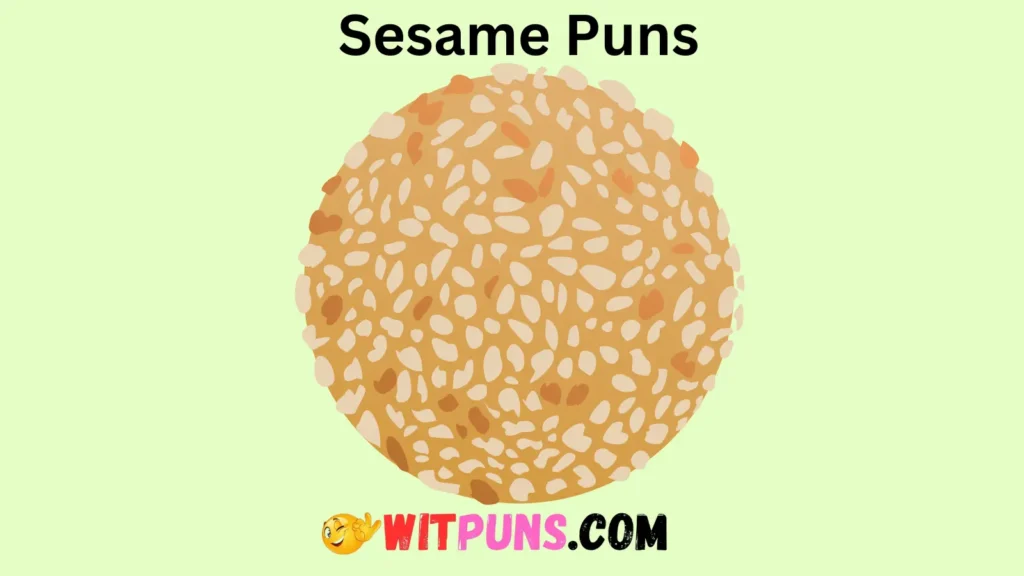 Puns for Sesame Street Lovers 