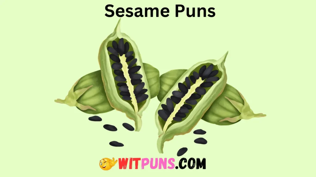 Silly Sesame Seed Puns