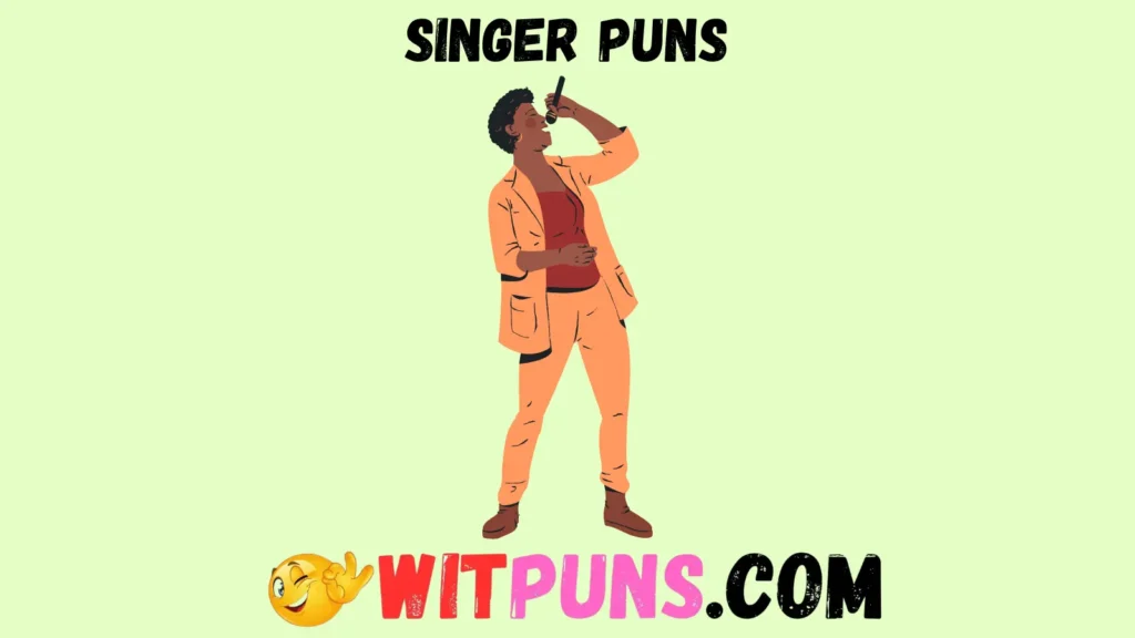 Singer Puns