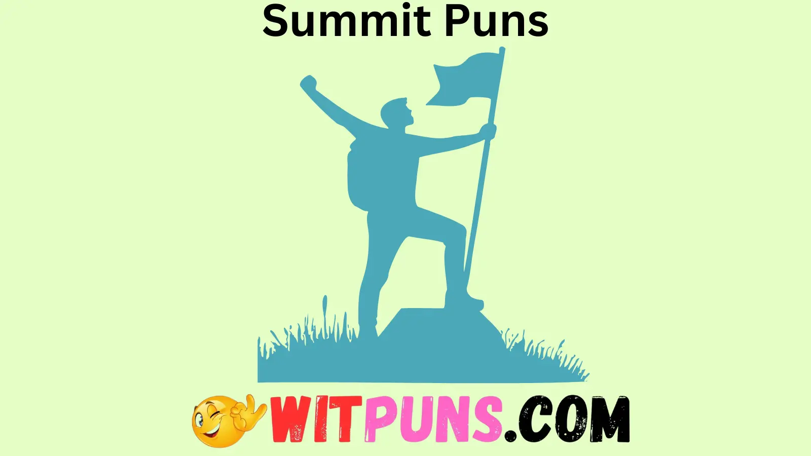 Summit Puns