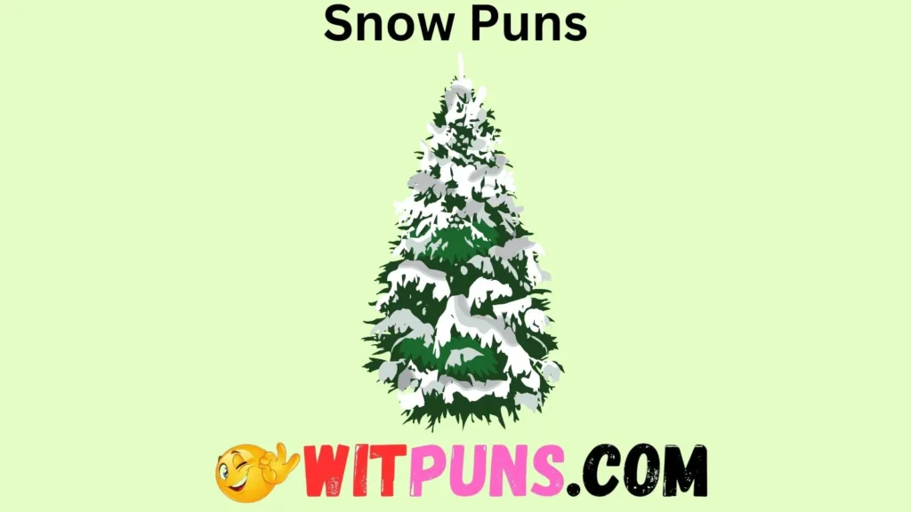 Winter Wonderland Puns