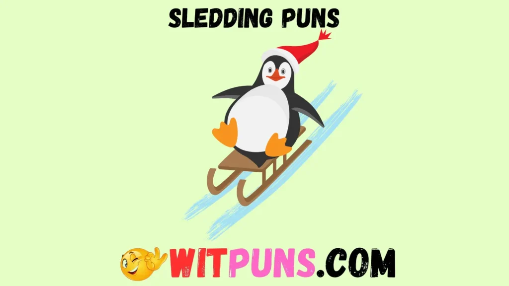 Winter Wonders Sledding Edition