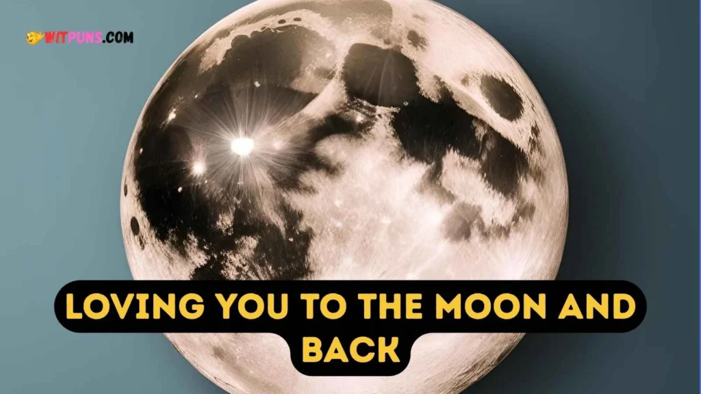 Moon Puns Captions
