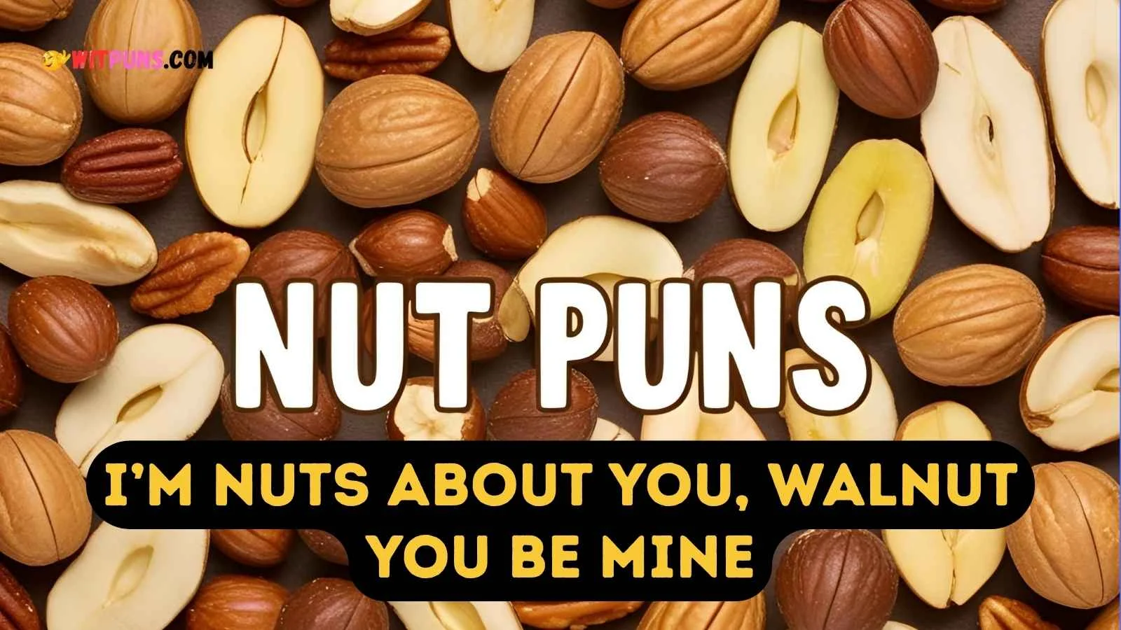 nut puns