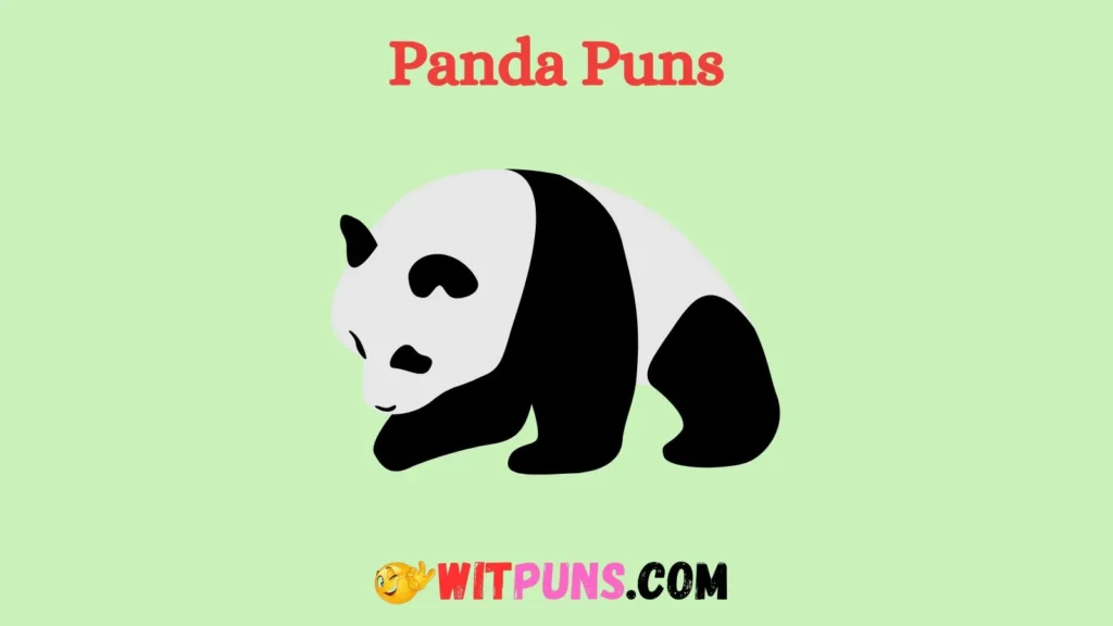 Puns Name