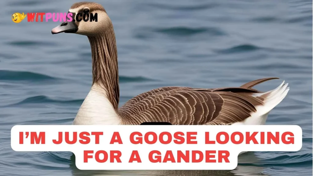 Silly Goose Puns