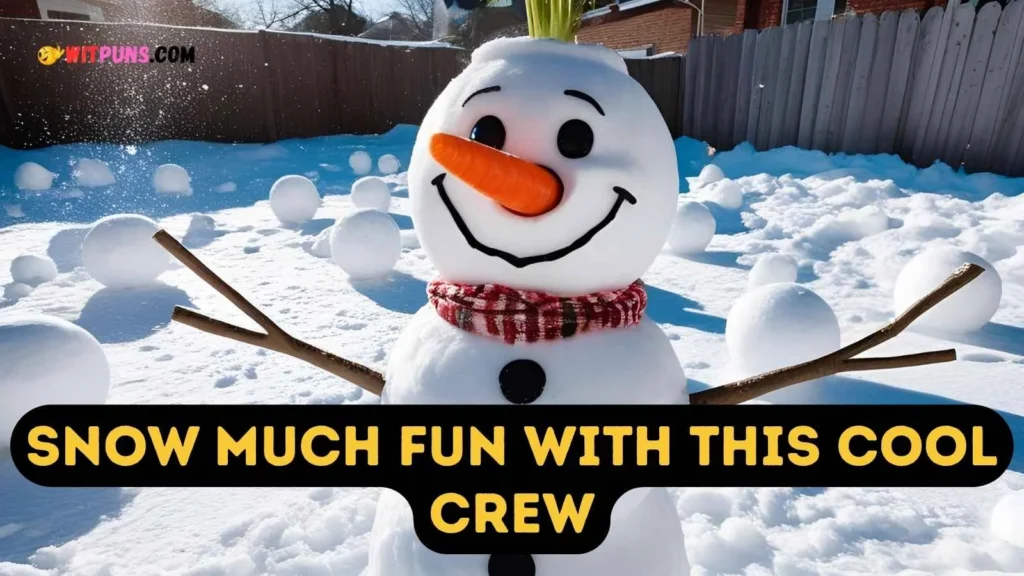 Smart Snowman Puns Captions