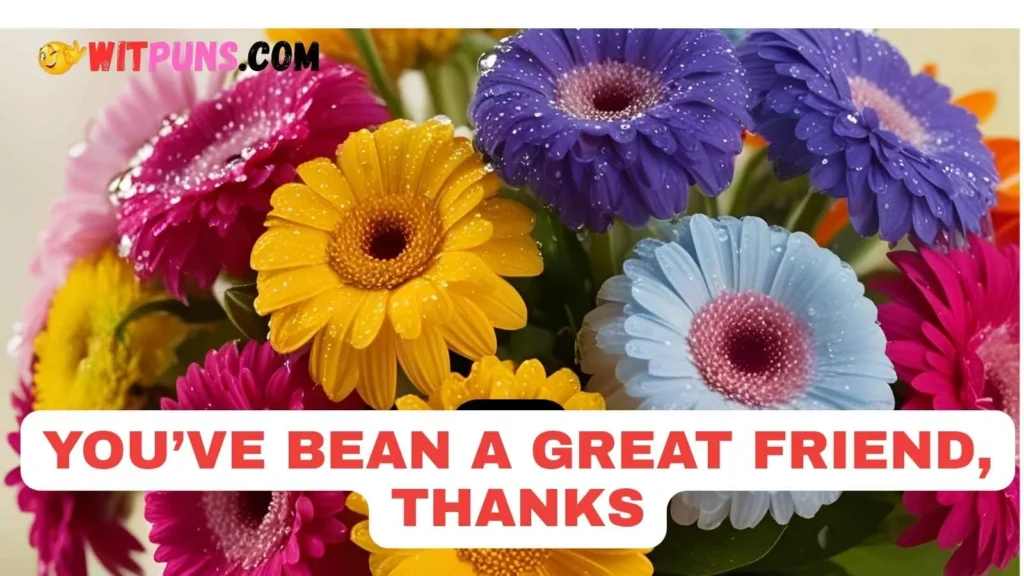 Thank You Puns for Friends