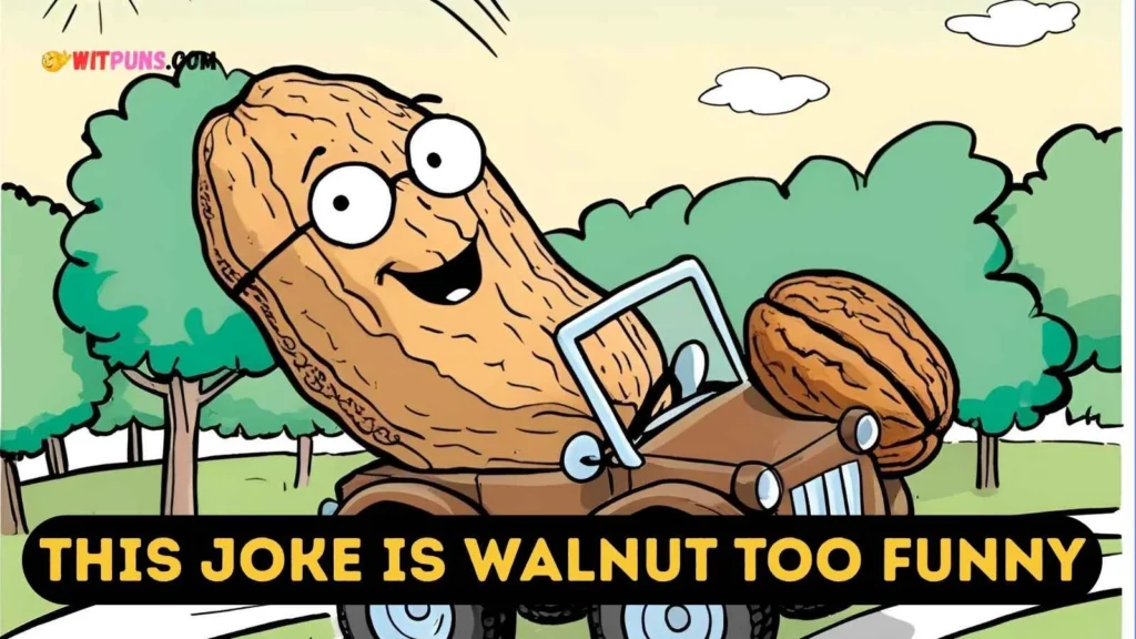 Walnut Puns One Liners