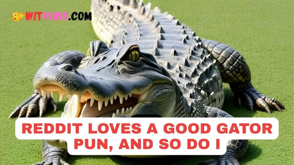 Alligator Puns Reddit
