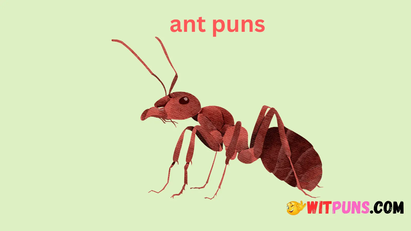 ant puns