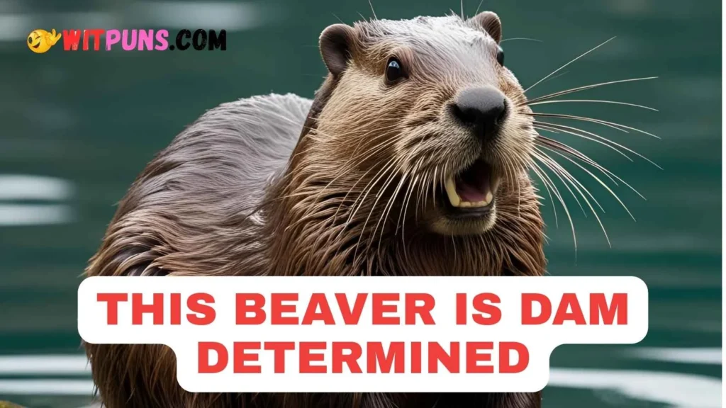 Beaver Puns One Liners
