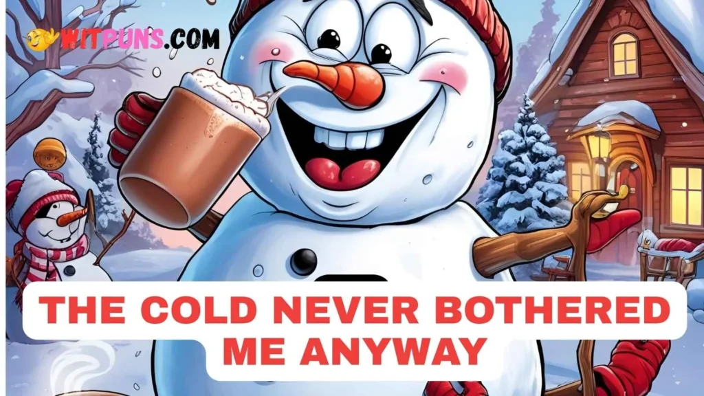 Cold Puns One Liners