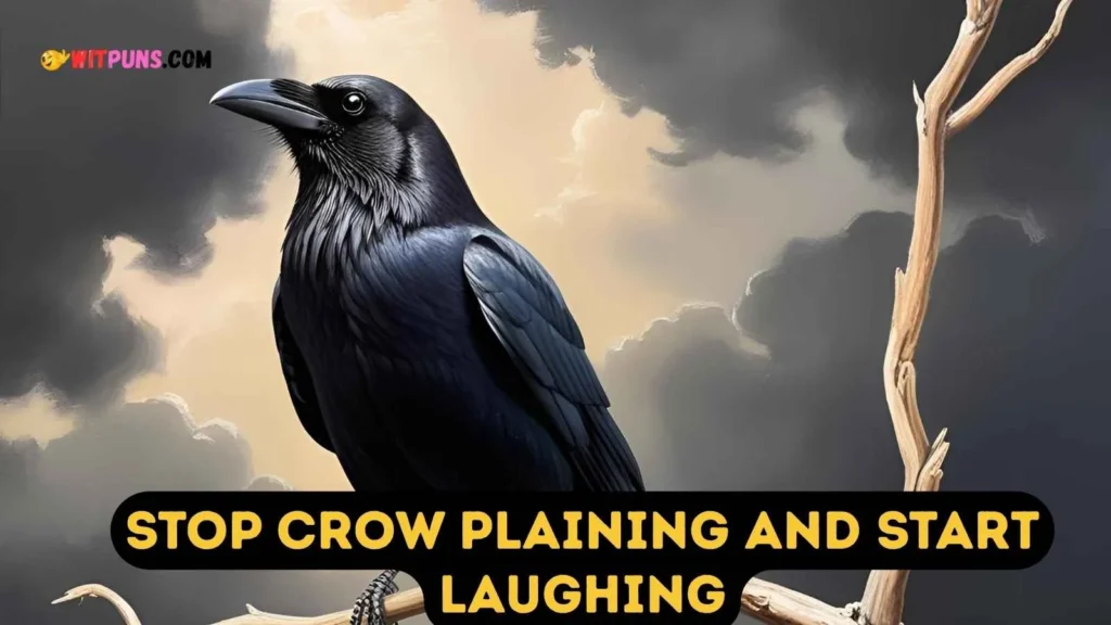 Crow Puns One Liners