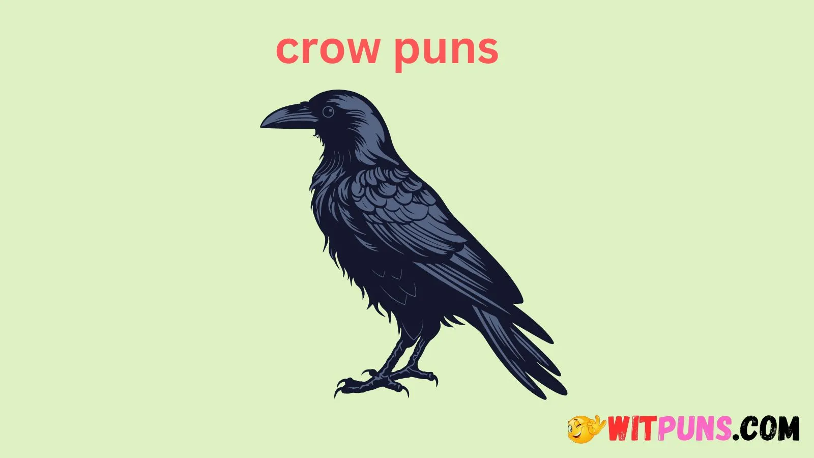 crow puns