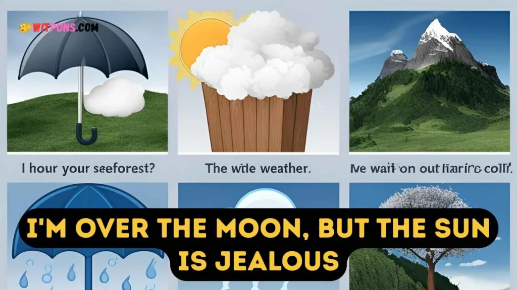 Funny Weather Puns