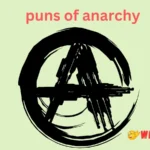 puns of anarchy