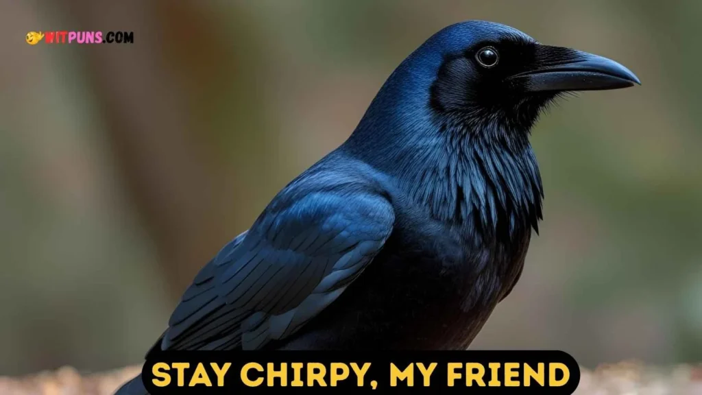 Short Crow Puns