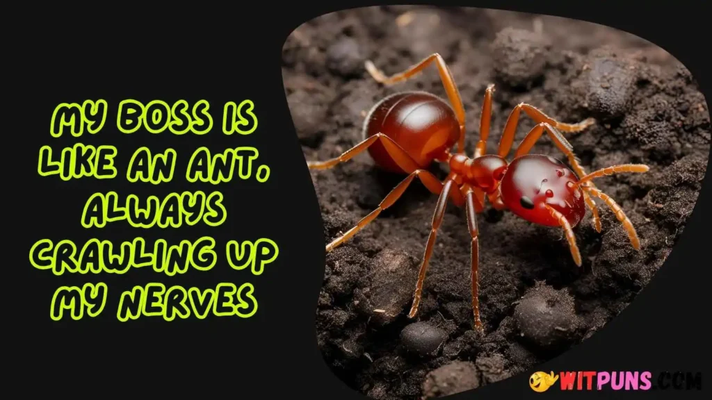 Ant Puns Names
