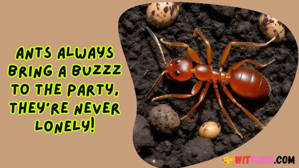 Ant Puns One Liners
