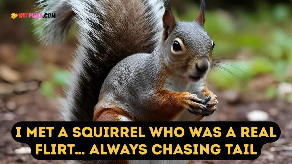 Squirrel Jokes Dirty