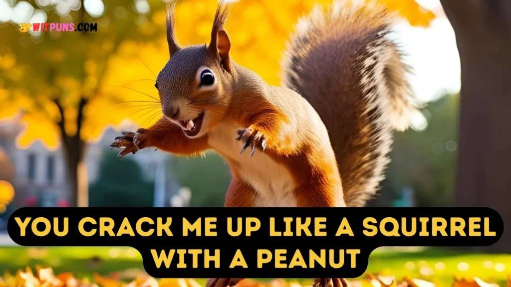 Squirrel Puns One Liners