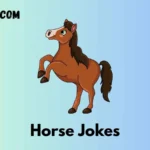 Horse Jokes