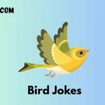 Bird Jokes