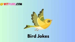 Bird Jokes