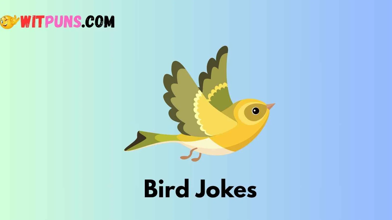 Bird Jokes