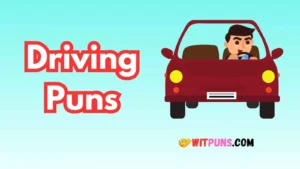 Driving Puns