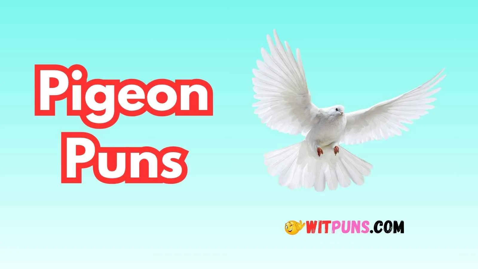 Pigeon Puns