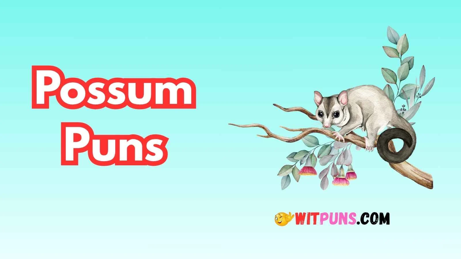 Possum Puns