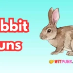 Rabbit Puns