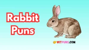 Rabbit Puns