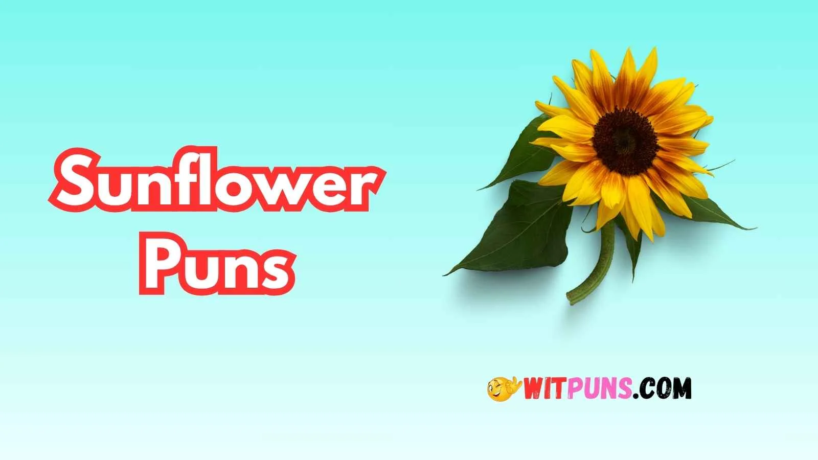 Sunflower Puns